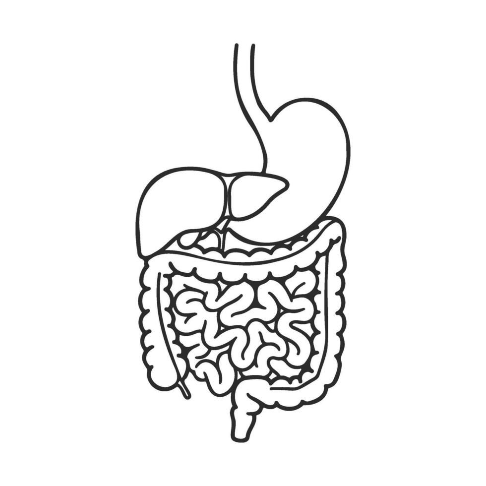 Gastrointestinal Cancer Treatment in Pondicherry - King's Cancer Center